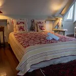 Oda ve Kahvaltı Nature Et Lin